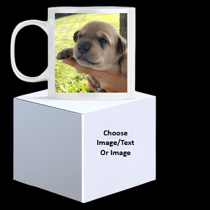 11 OZ Coffee/Tea Mug